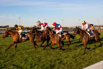 Prix de Cannes, Hoolong sur l'hippodrome de Cagnes sur Mer