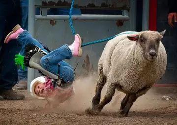 Ces sports trop dangereux ont été interdits !