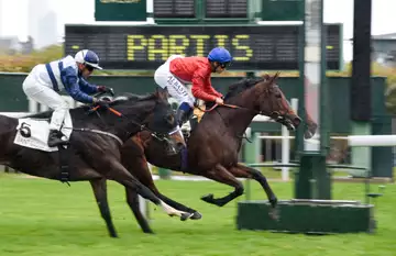 Prix Teddy, Goldino Bello à l'hippodrome de Saint Cloud