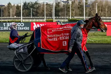 Prix Guy Lux et Léon Zitrone, Flaya Kalouma sur l'hippodrome de Paris Vincennes