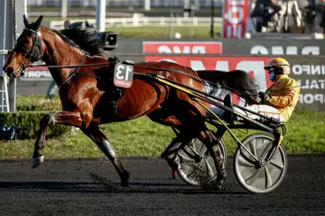 Prix de la Chartre sur le Loir, Fepson auf der Rennbahn von Paris Vincennes