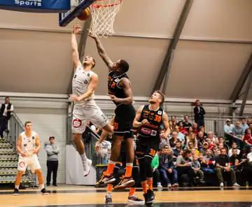 Revue NBA Top Shot pour les novices