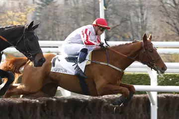 Prix Beugnot, Hokusai Vallis sur l'hippodrome d'Auteuil