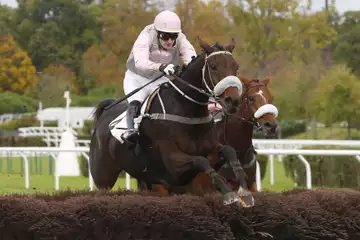 Prix du Président de la République, Sampark sur l'hippodrome d'Auteuil