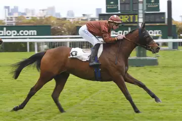 Prix de la Comédie Française, My Charming Prince à l'hippodrome de Longchamp