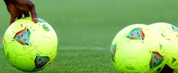 Asanovics Sambia jouera 2 matchs amicaux en France