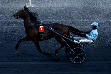 Prix de Senlis, Zante Breed sur l'hippodrome de Paris Vincennes