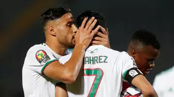 Algérie-Cameroun : une légende africaine met à mal les Fennecs