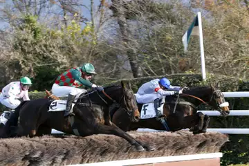 Prix René Cramail, Gold Allen sur l'hippodrome de Pau