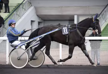 Prix Henri Levesque, Hanna des Molles sur l'hippodrome de Vincennes