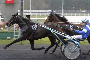 Prix d'Amérique Races Zeturf Q6, Davidson du Pont auf der Rennbahn Paris Vincennes