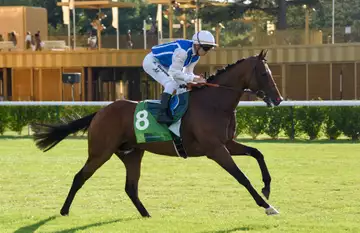 Prix de l'opération Overlord, Sagano sur l'hippodrome de Deauville