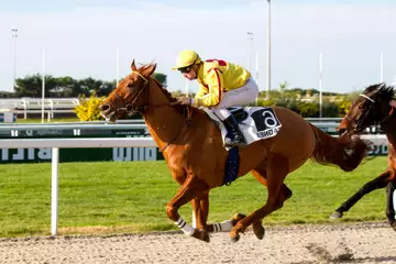 Prix du Lavandou, Hootton sur l'hippodrome de Cagnes sur Mer