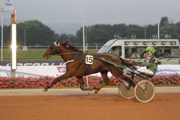 Prix Roger Ledoyen, Crack Atout sur l'hippodrome de Lisieux