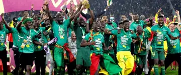 Le classement de la FIFA : Le Sénégal grimpe, l'Algérie dégringole
