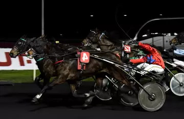 Prix d'Yvetot, Hibiki de Houelle sur l'hippodrome de Paris Vincennes