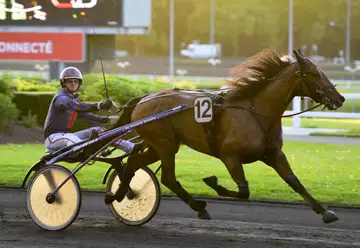 Grand National du Trot Paris-Turf, French Man sur l'hippodrome de Reims