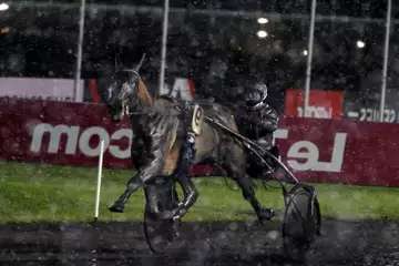 Prix de Mauriac, Howdy Partner sur l'hippodrome de Paris Vincennes