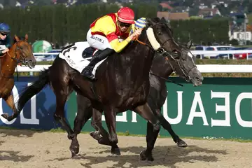 Prix de Veules les Roses, enseigné sur l'hippodrome de Deauville