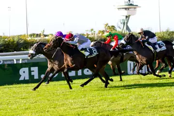 Prix Rauba Capeu, Shamsabad à l'hippodrome de Cagnes sur Mer