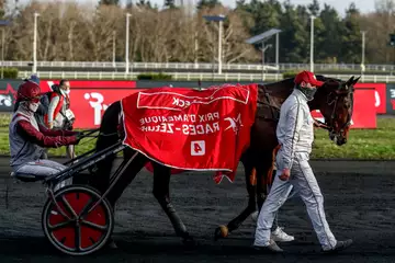 Prix de Bracieux, Gourou auf der Rennbahn von Paris Vincennes