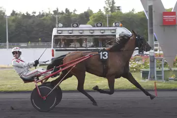 Prix Vindex, Inmarosa sur l'hippodrome de Paris Vincennes