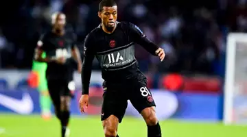 LE PSG : Wijnaldum, die Tugend