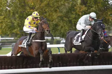 Prix de la Rochelle, Eden Conti sur l'hippodrome de Compiègne