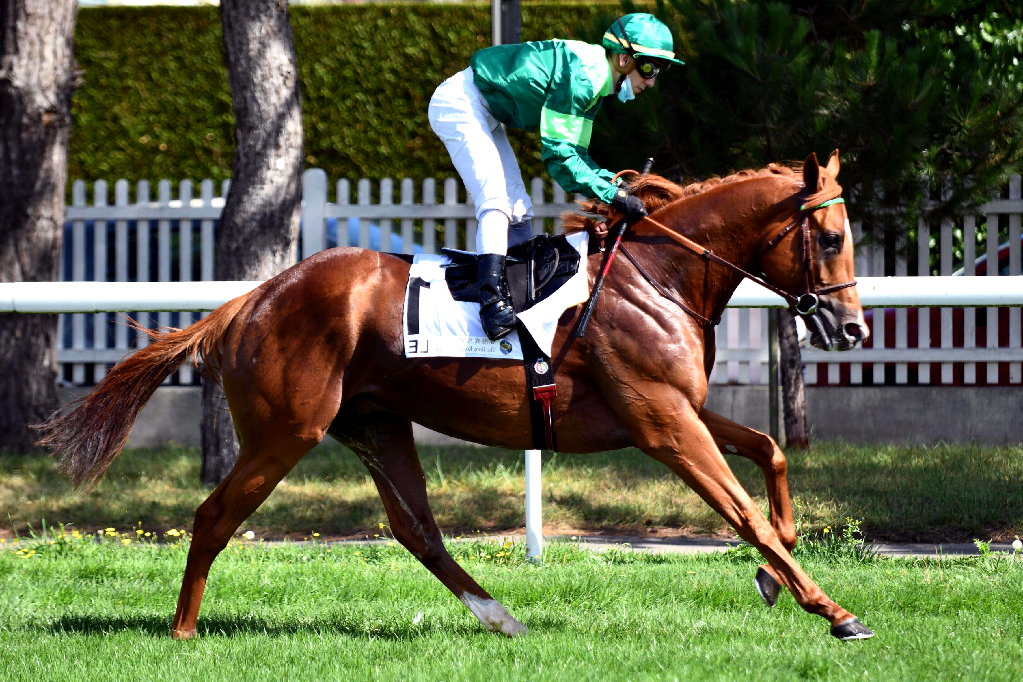 Prix du Pays d'Ouche, Just Light sur l'hippodrome de Deauville