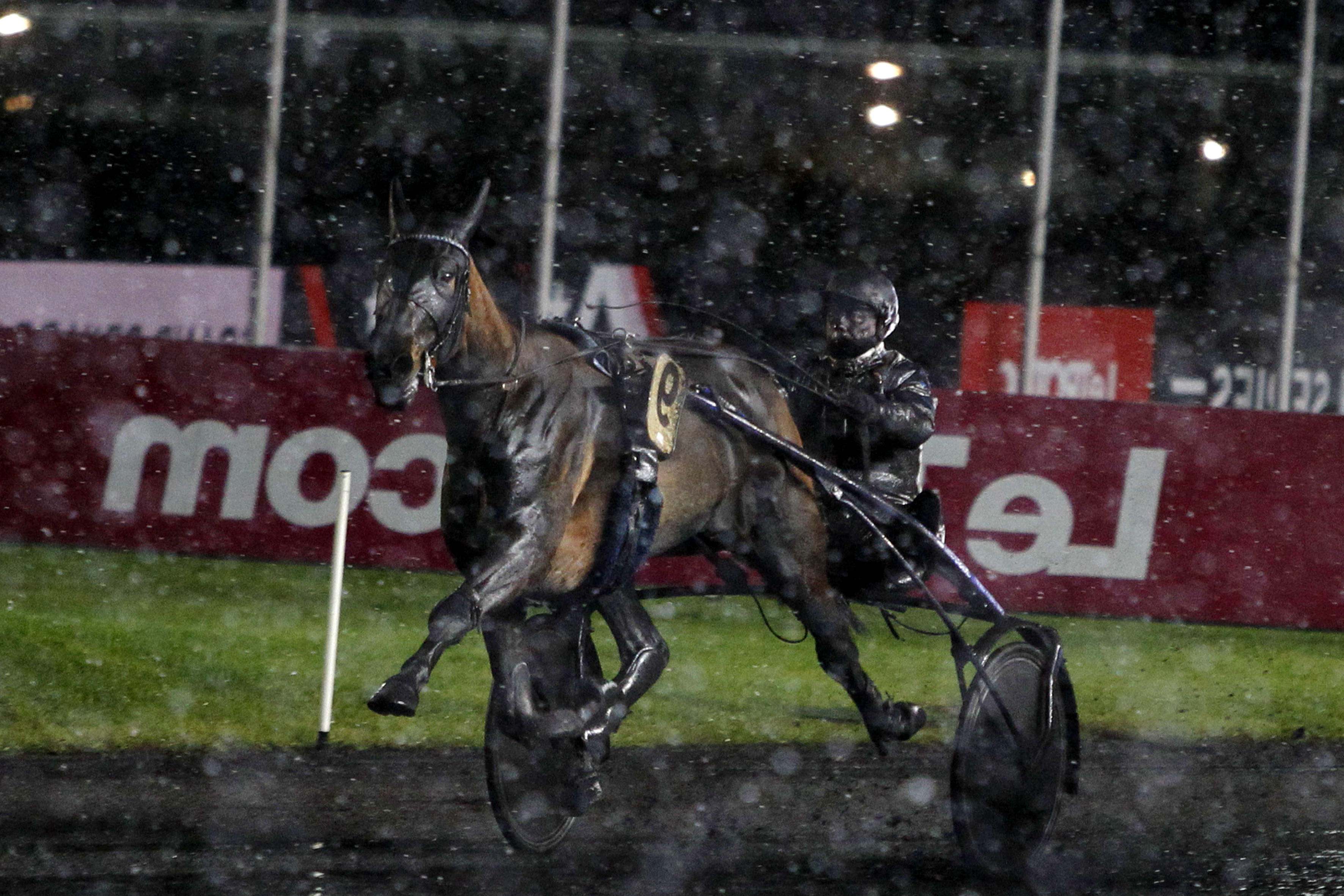 Prix de Mauriac, Howdy Partner sur l'hippodrome de Paris Vincennes