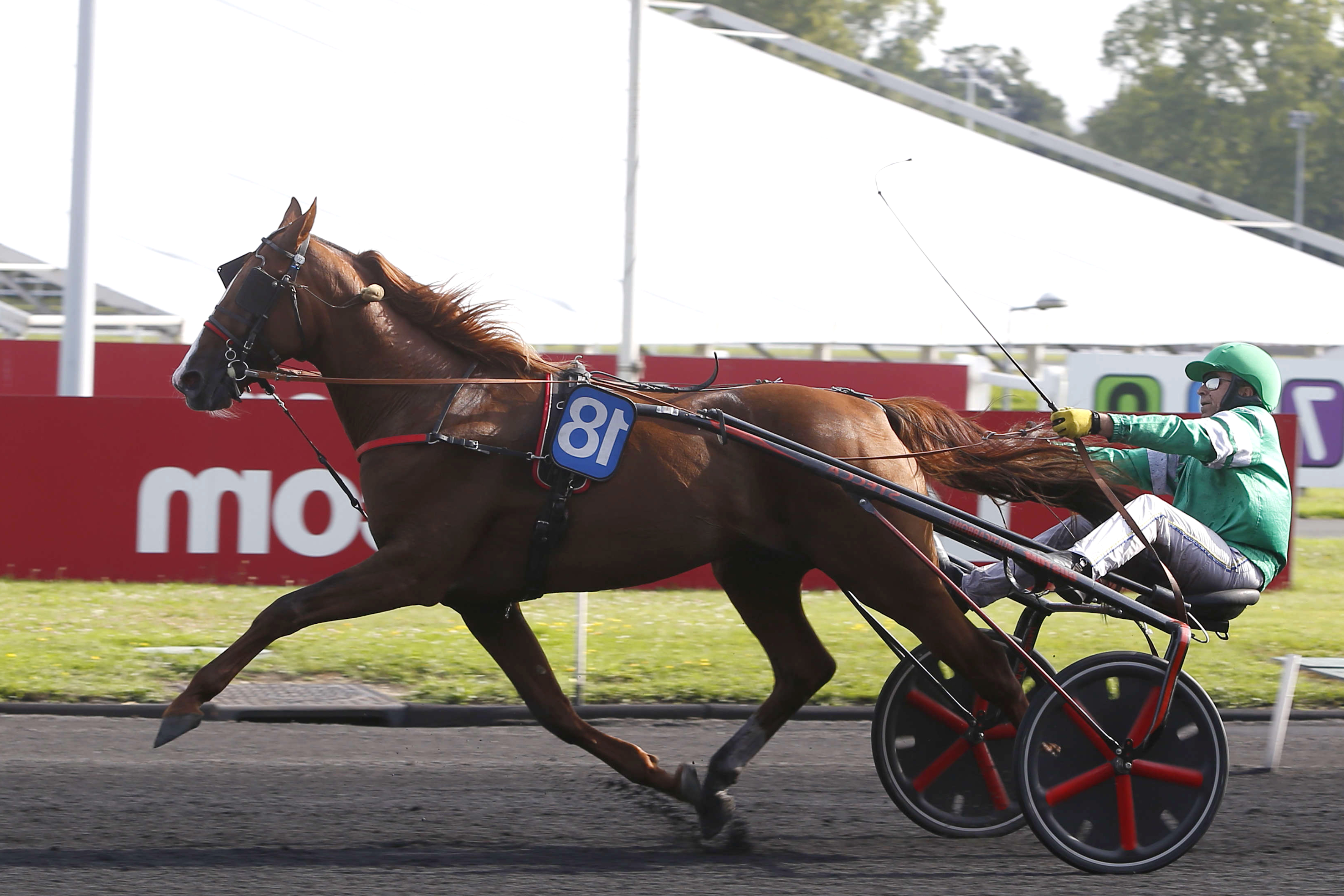 Prix du Forez, décoration sur l'hippodrome de Paris Vincennes