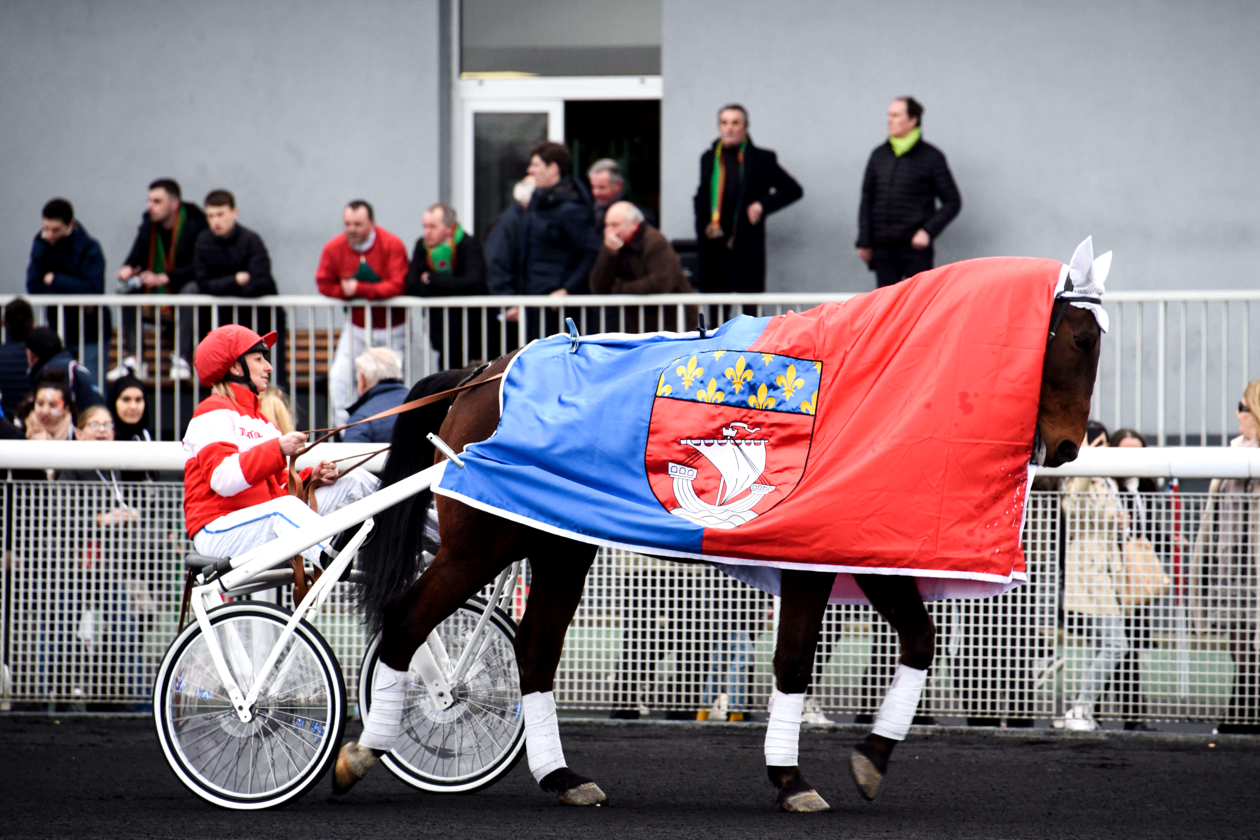 Prix de Brionne, Cyrano de B sur l'hippodrome de Paris Vincennes