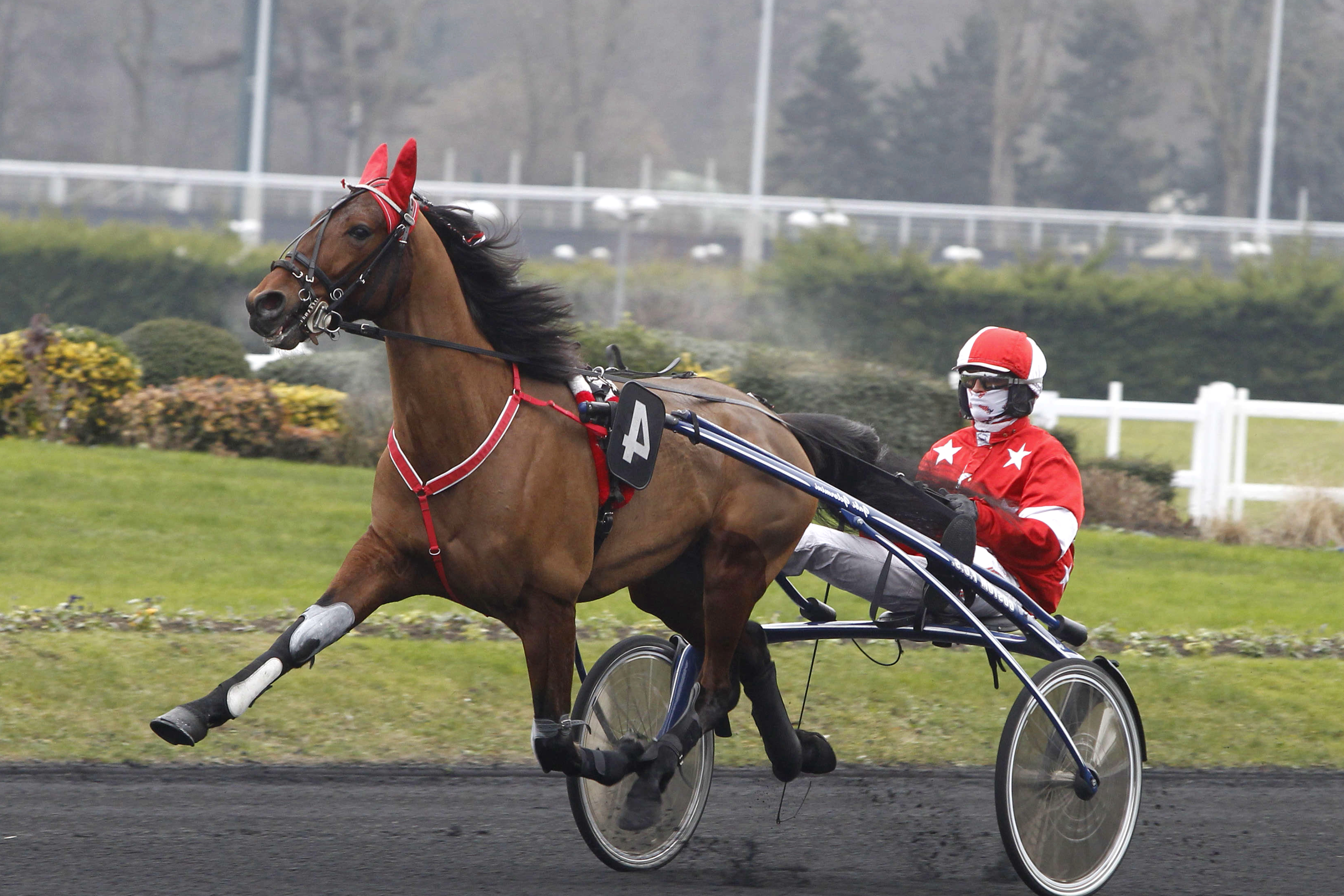 Prix d'Erbray, Dick des Malbereaux sur l'hippodrome de Paris Vincennes