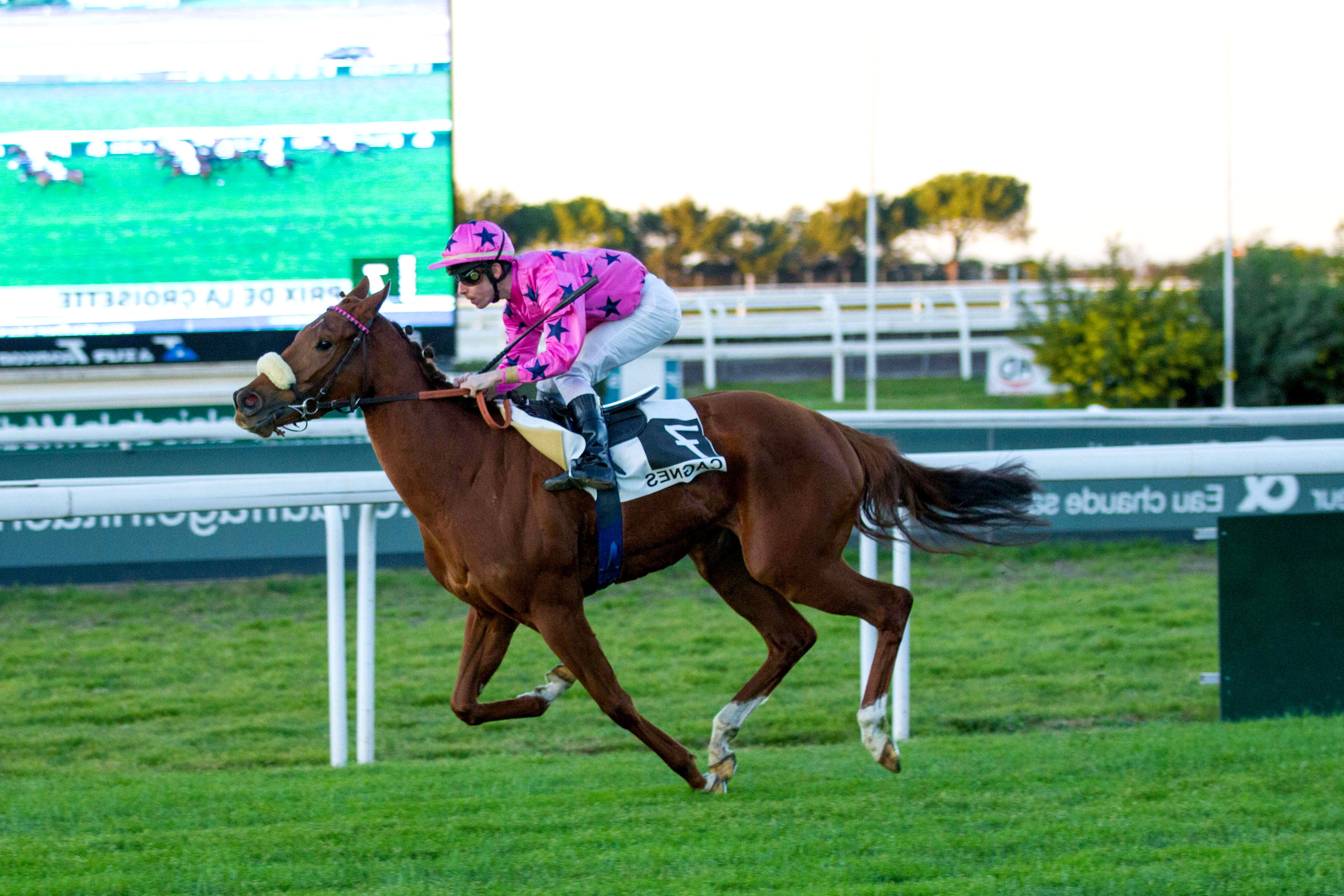 Prix du Languedoc, Marjaan sur l'hippodrome de Cagnes sur Mer