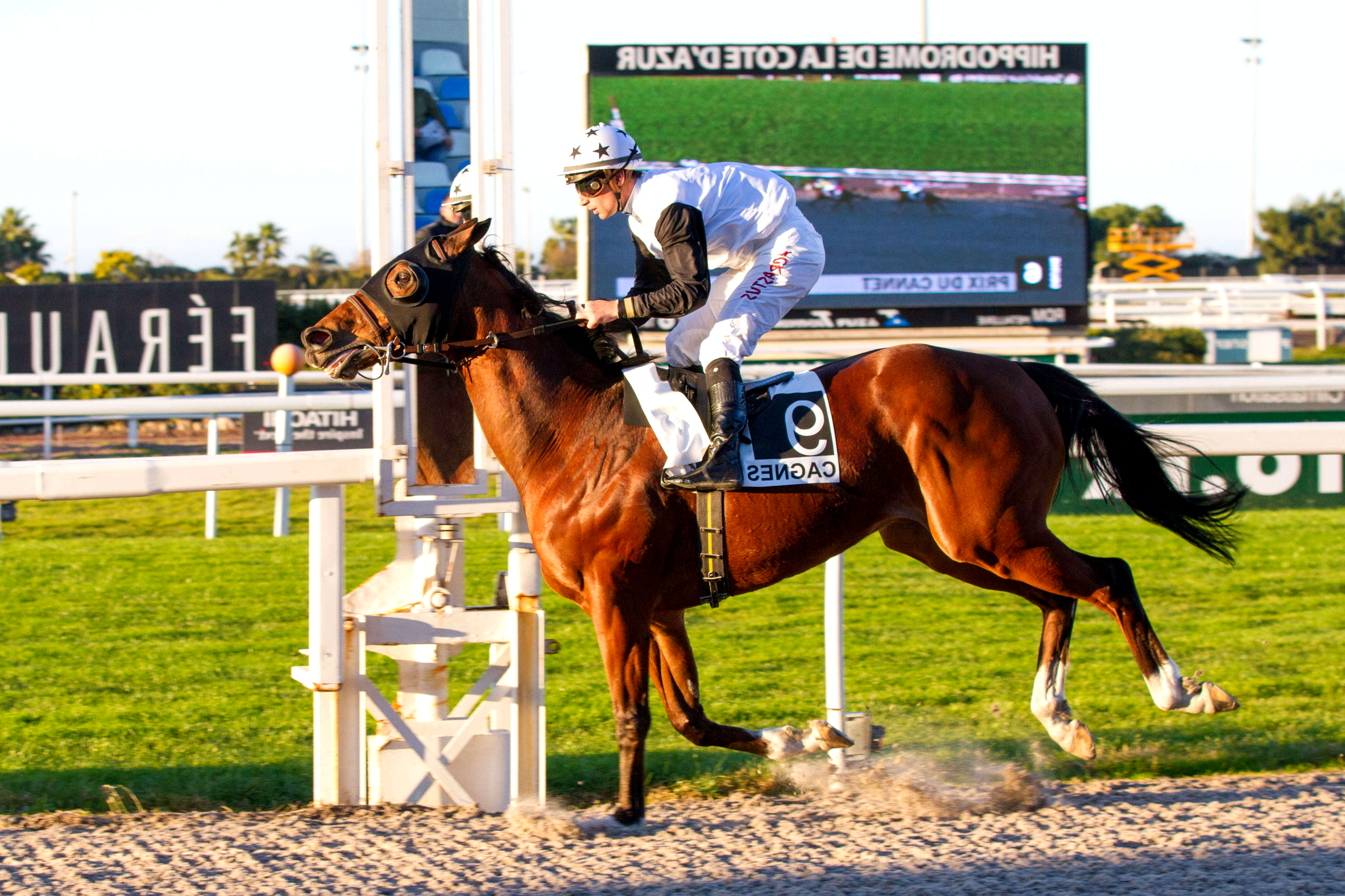 Prix de Marseille, Glaer sur l'hippodrome de Cagnes sur Mer