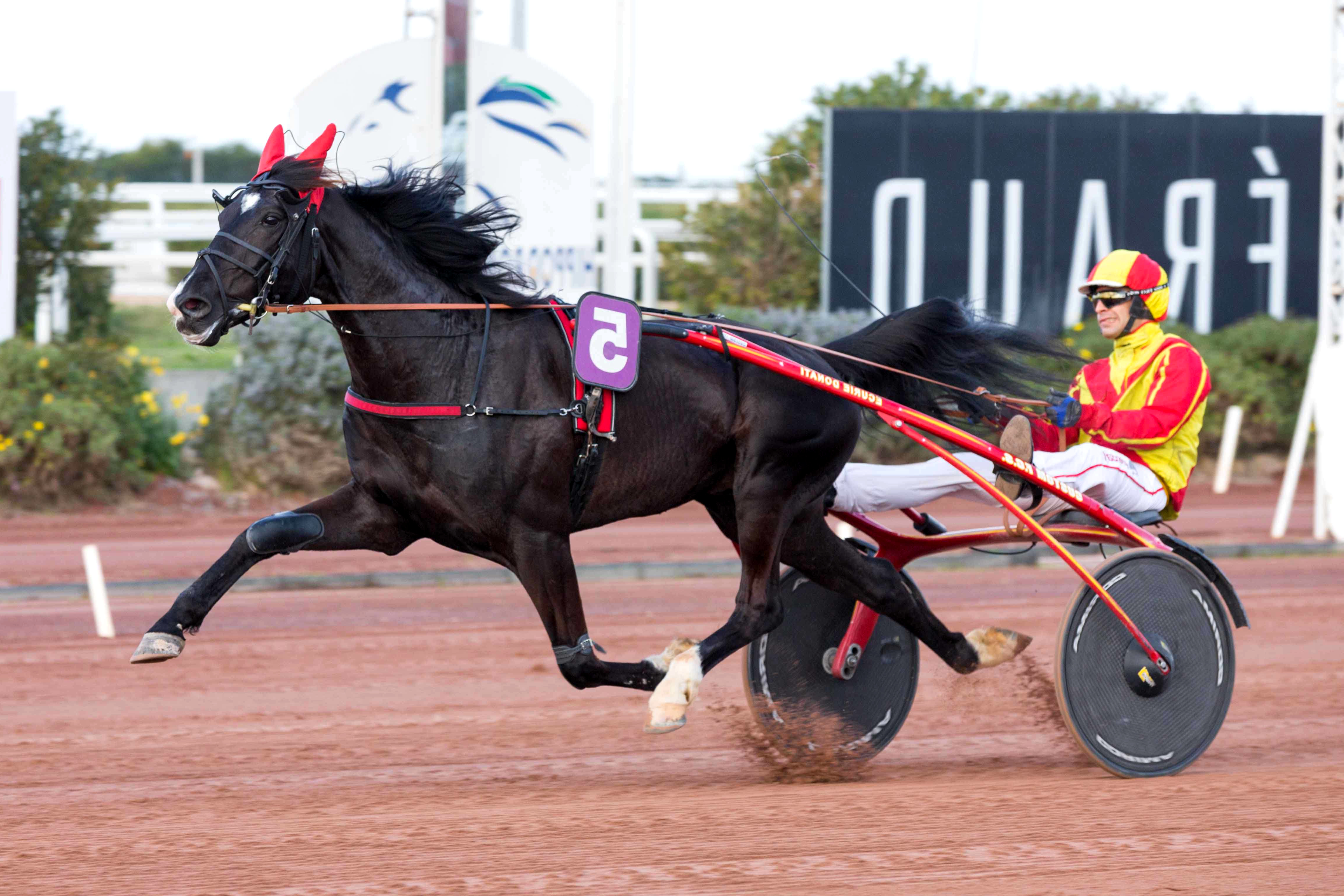 Prix Henri Estable, Dream Along sur l'hippodrome de Cagnes sur Mer