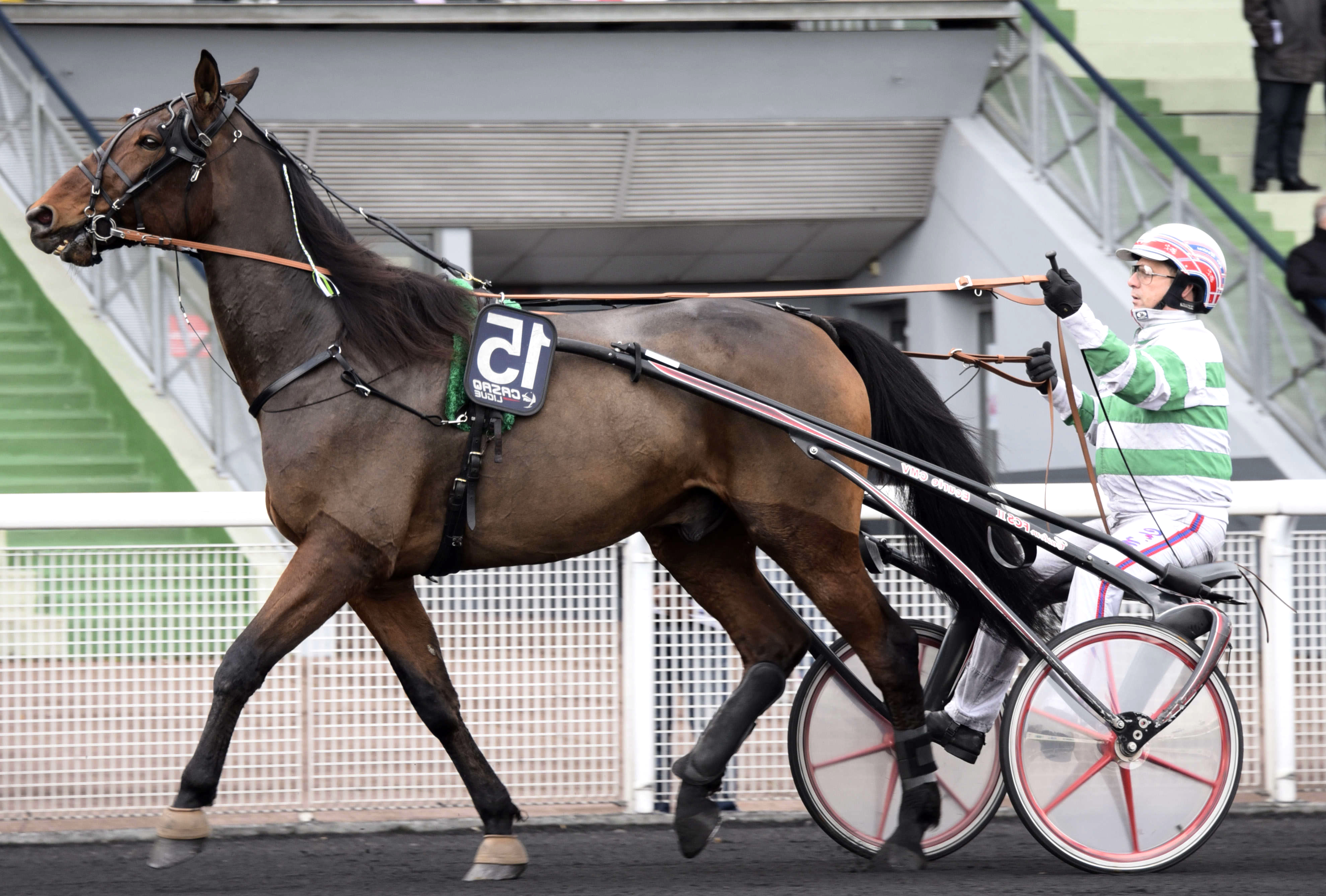 Prix de la Semaine Internationale, Fawley Buissonay sur l'hippodrome de Paris Vincennes