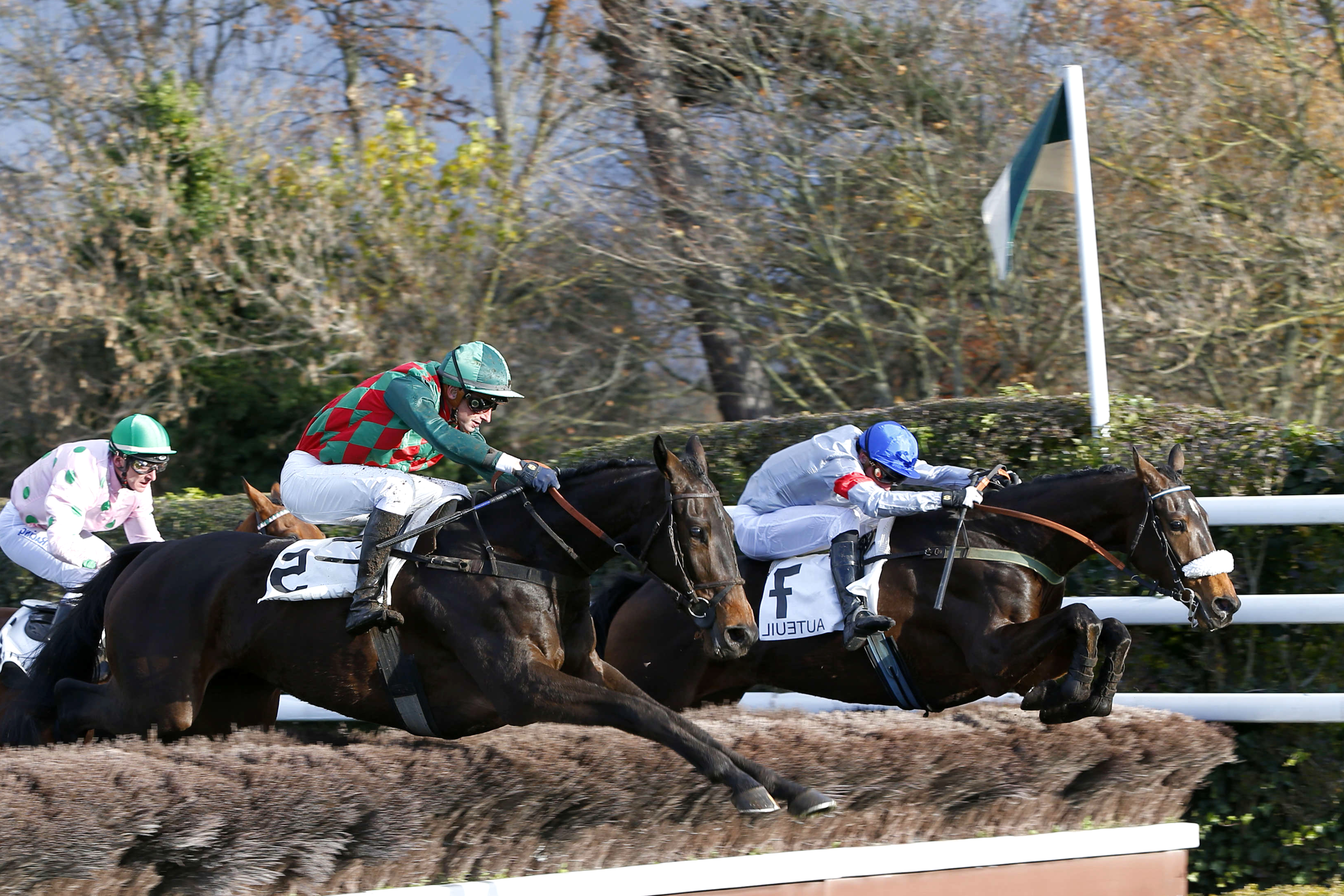 Prix René Cramail, Gold Allen sur l'hippodrome de Pau