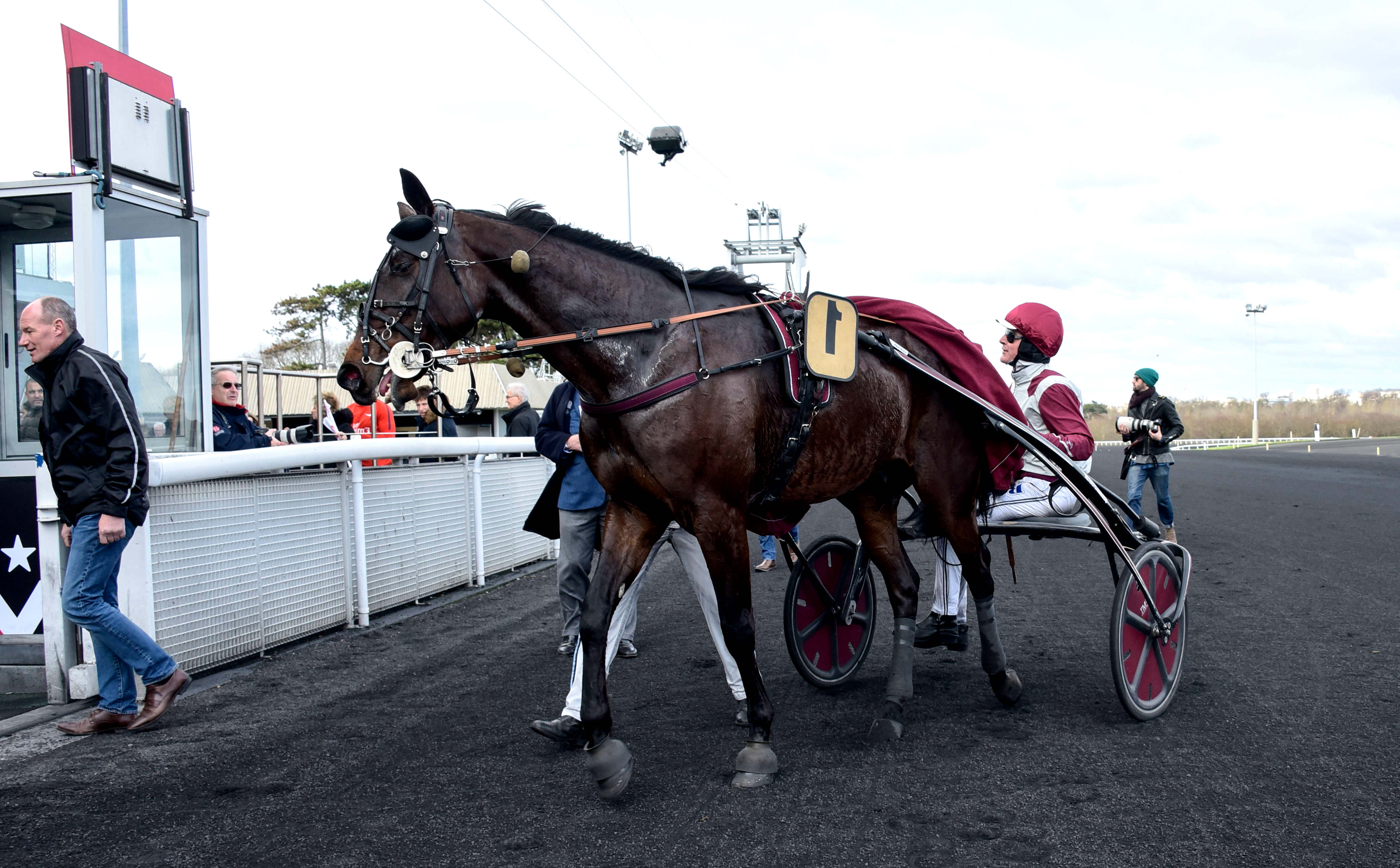 Prix du Luxembourg, Feliciano sur l'hippodrome de Paris Vincennes