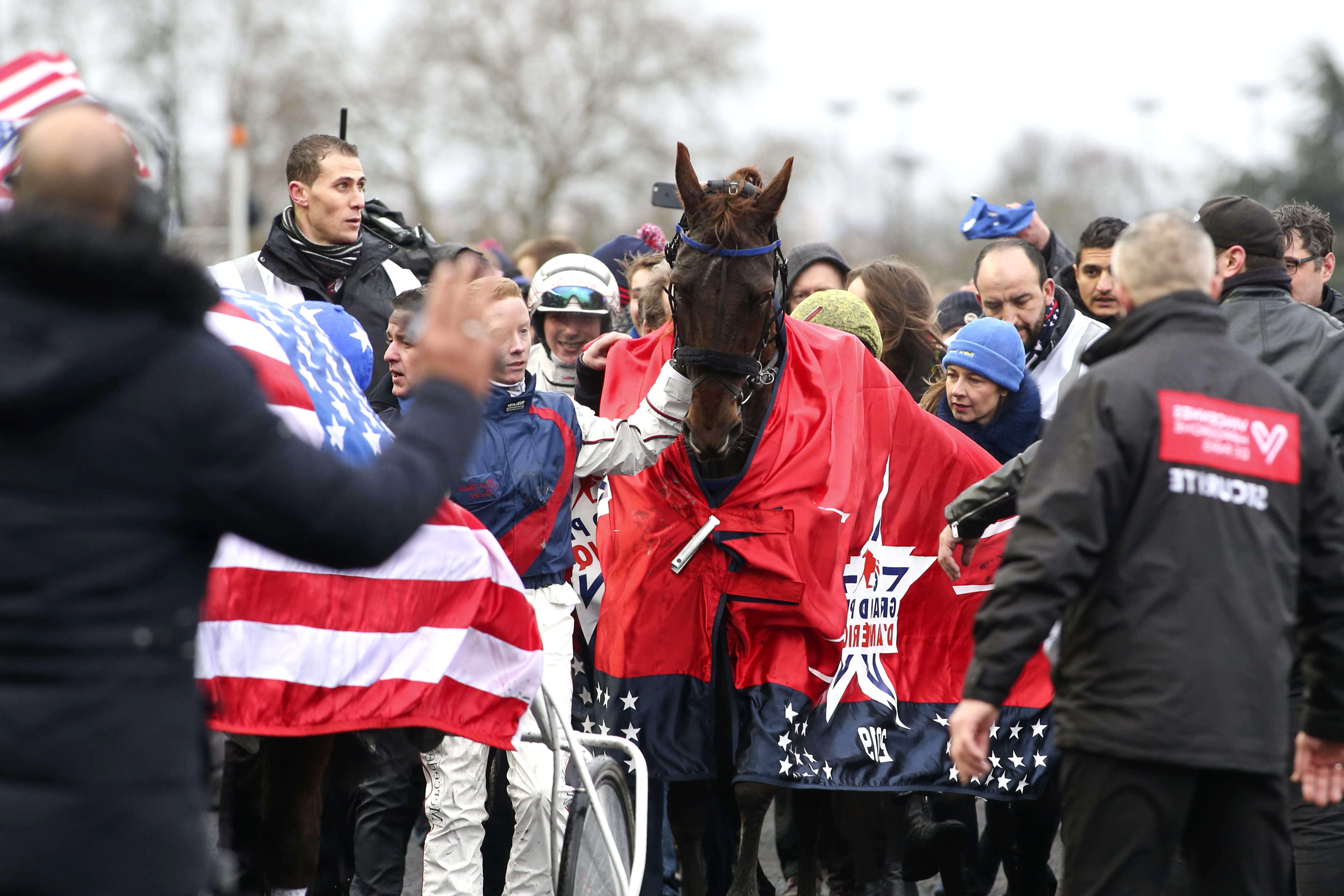 Prix d'Amérique, Davidson du Pont auf der Rennbahn von Paris Vincennes