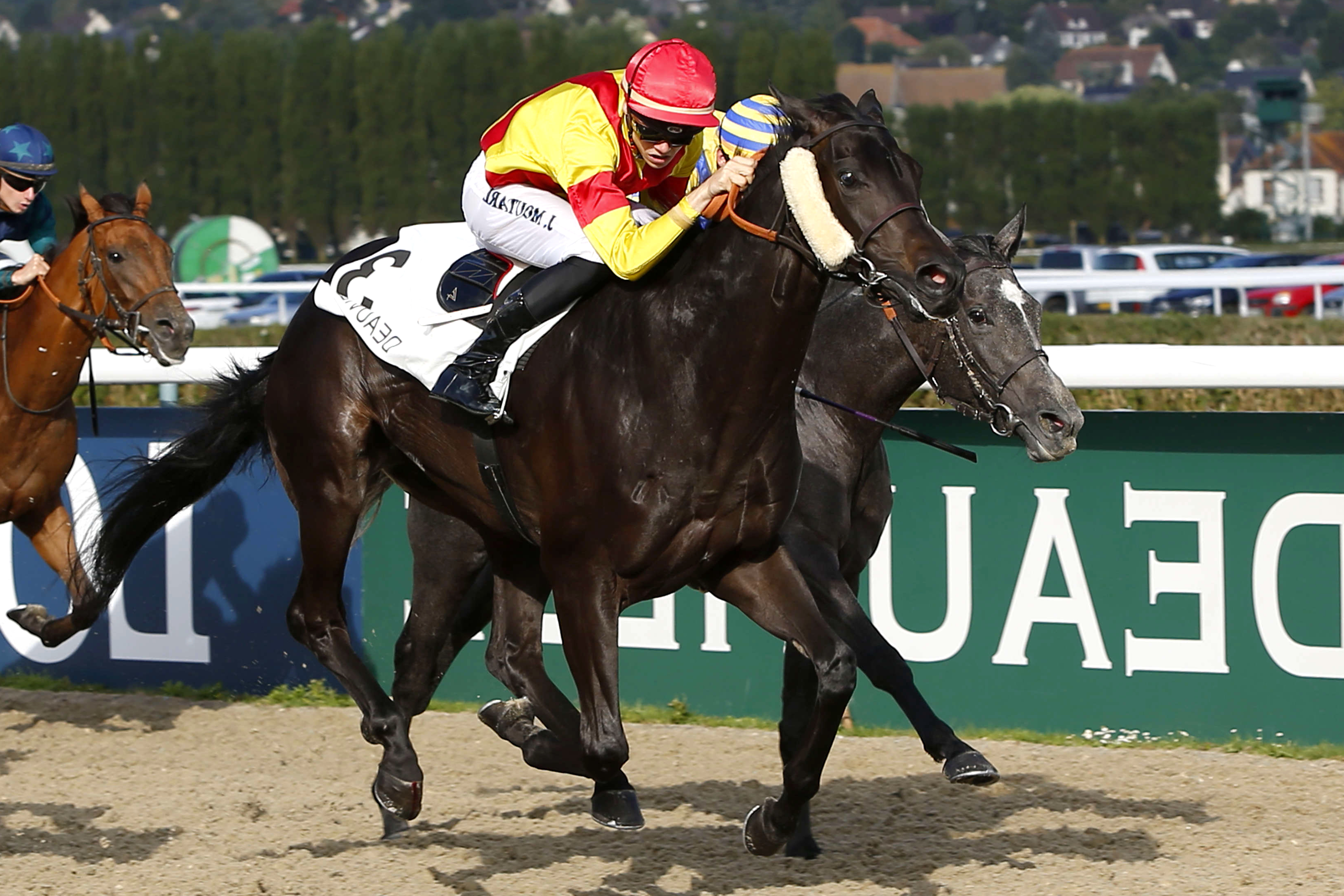 Prix de Veules les Roses, enseigné sur l'hippodrome de Deauville