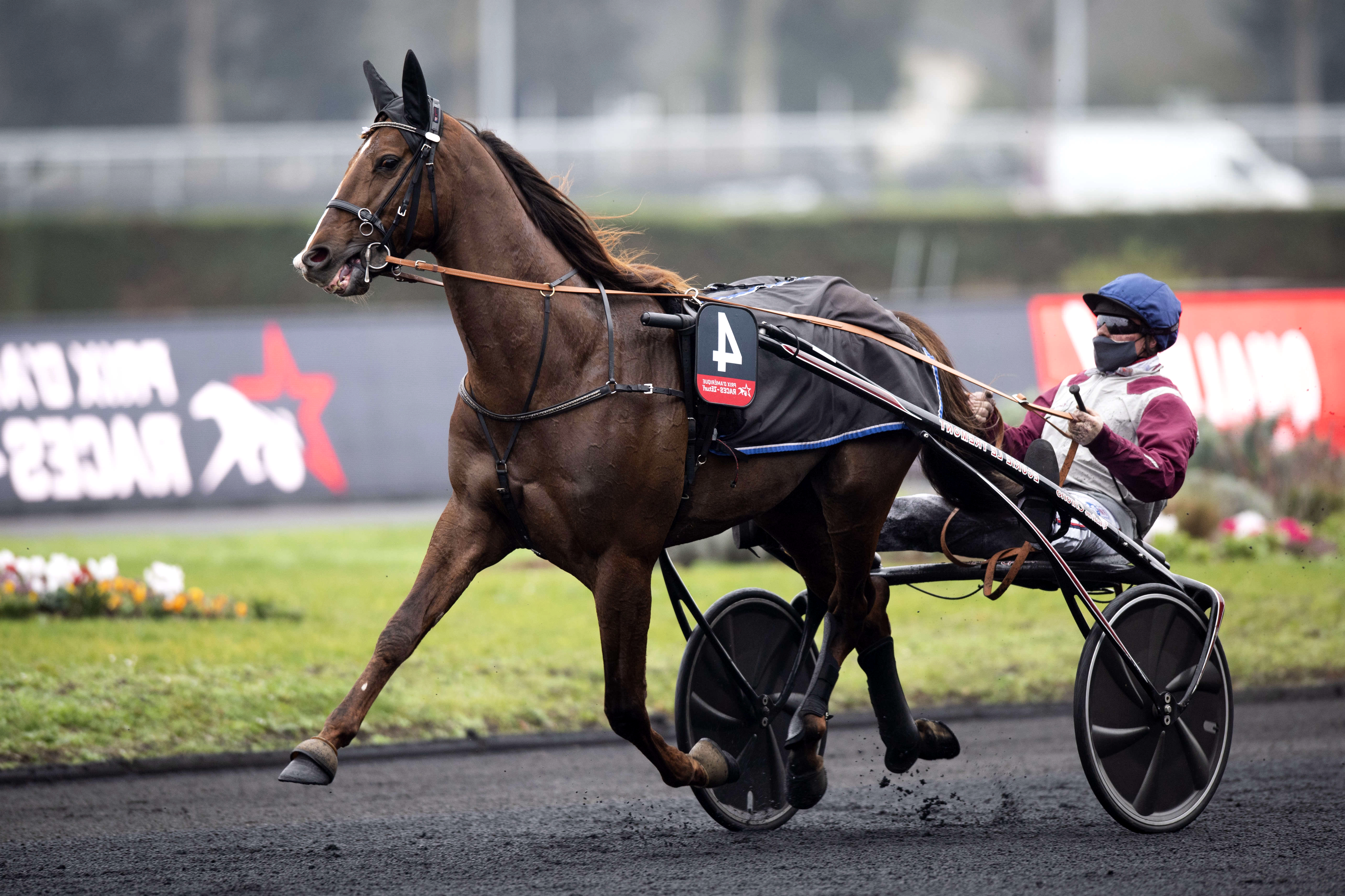 Prix de Munich, Ampia Mede Sm sur l'hippodrome de Paris Vincennes