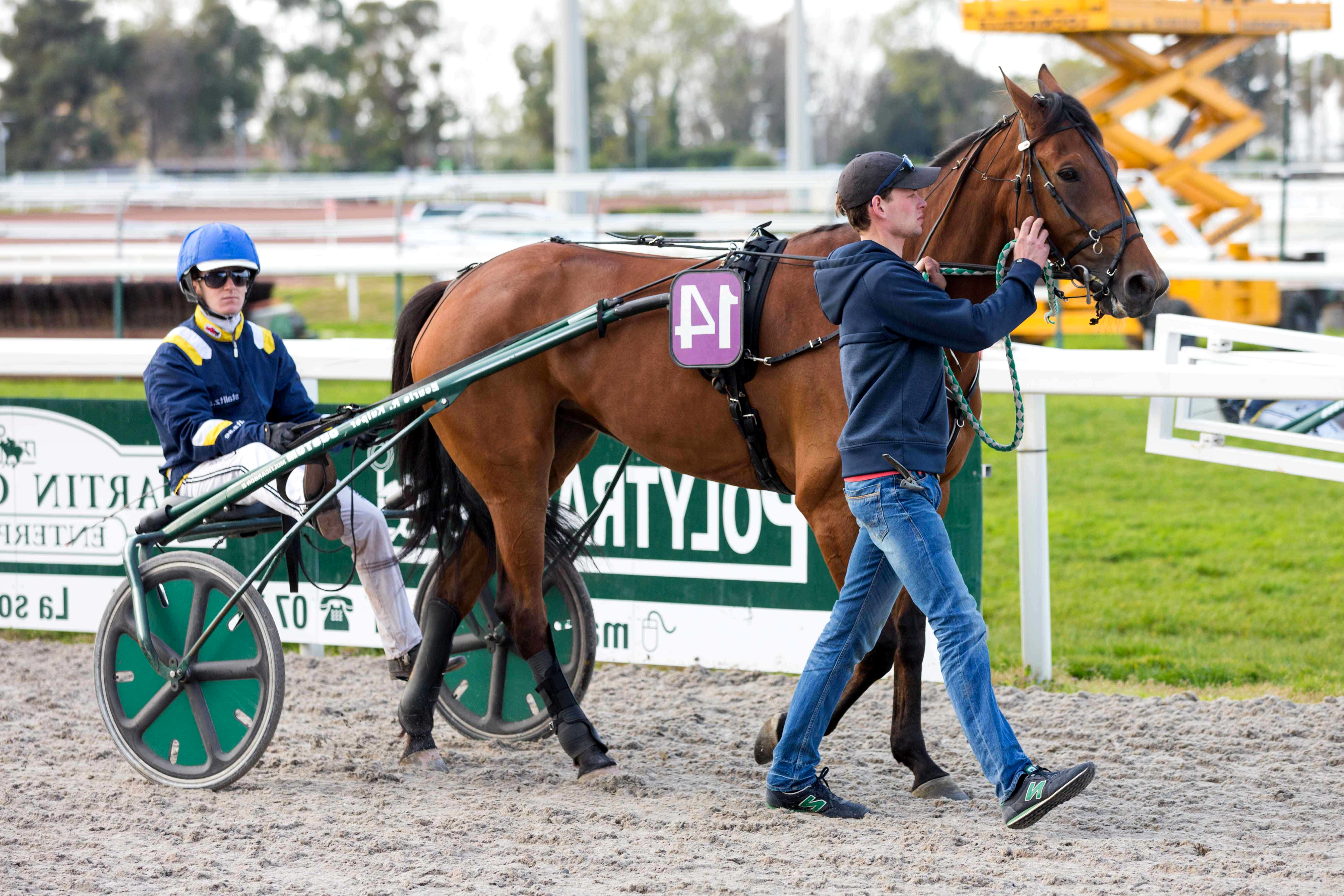 Prix Jean Boillereau, Eagle Eyes à l'hippodrome de Cagnes sur Mer