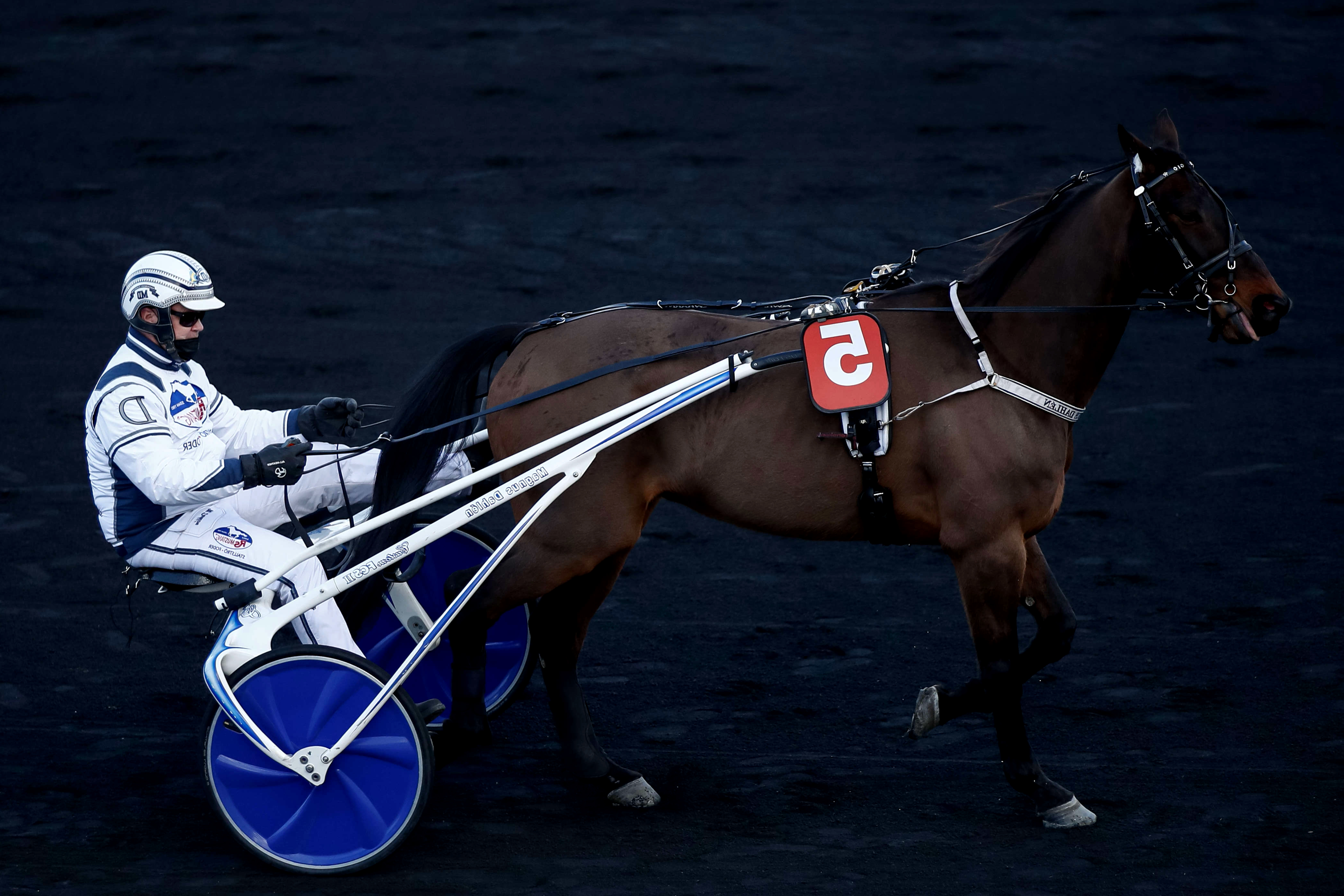 Prix de Marcenat, Helencio sur l'hippodrome de Paris Vincennes