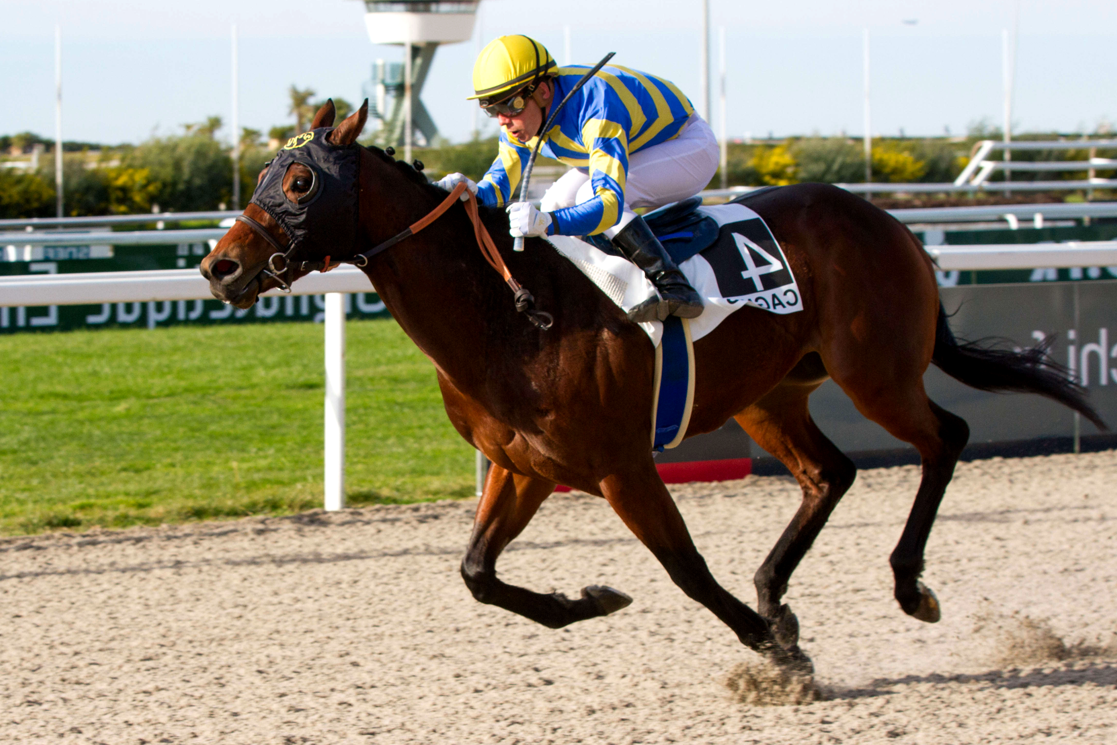 Prix du Var, Khochenko sur l'hippodrome de Cagnes sur Mer