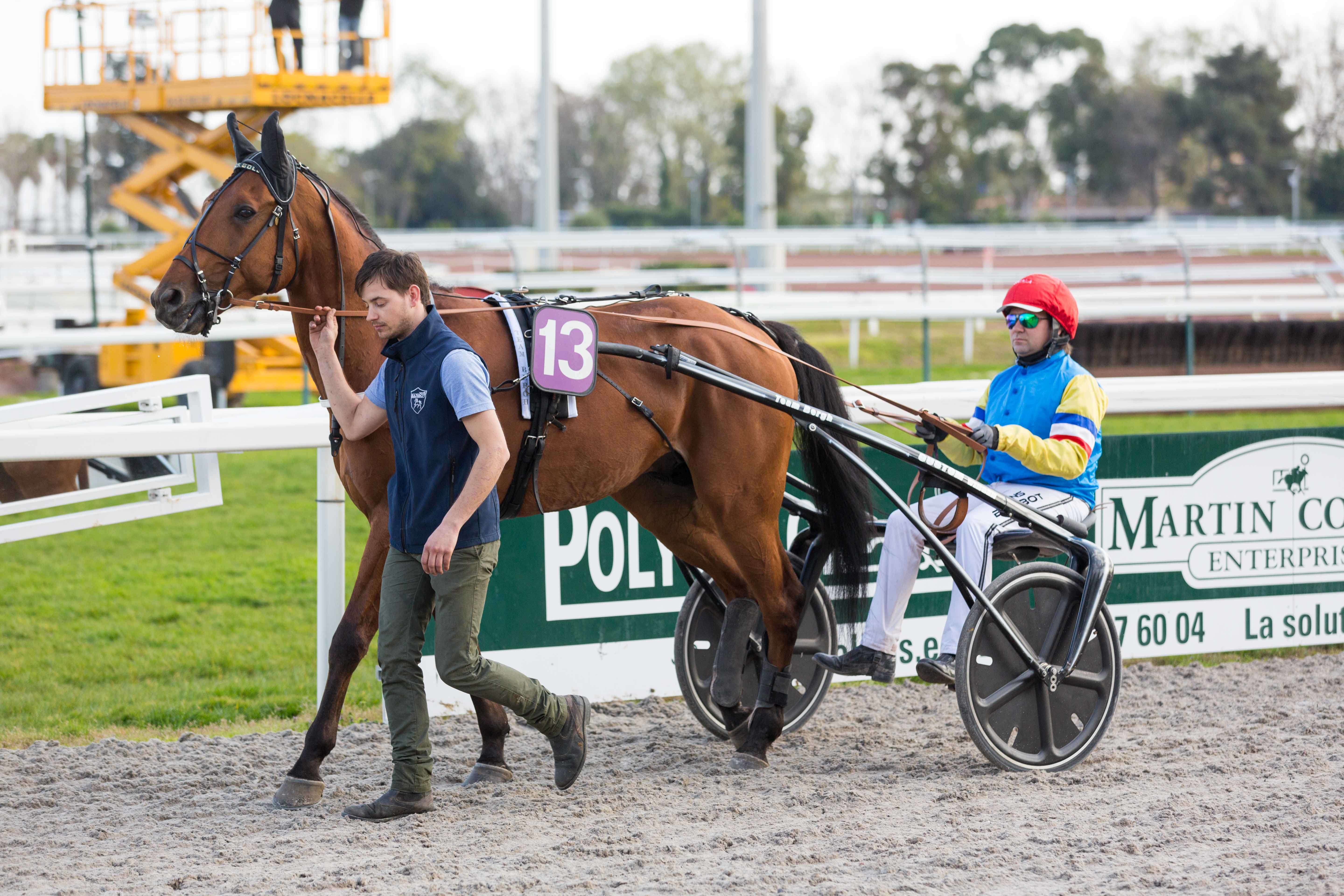 Prix d'Helsinki, Easy Maza sur l'hippodrome de Cagnes sur Mer