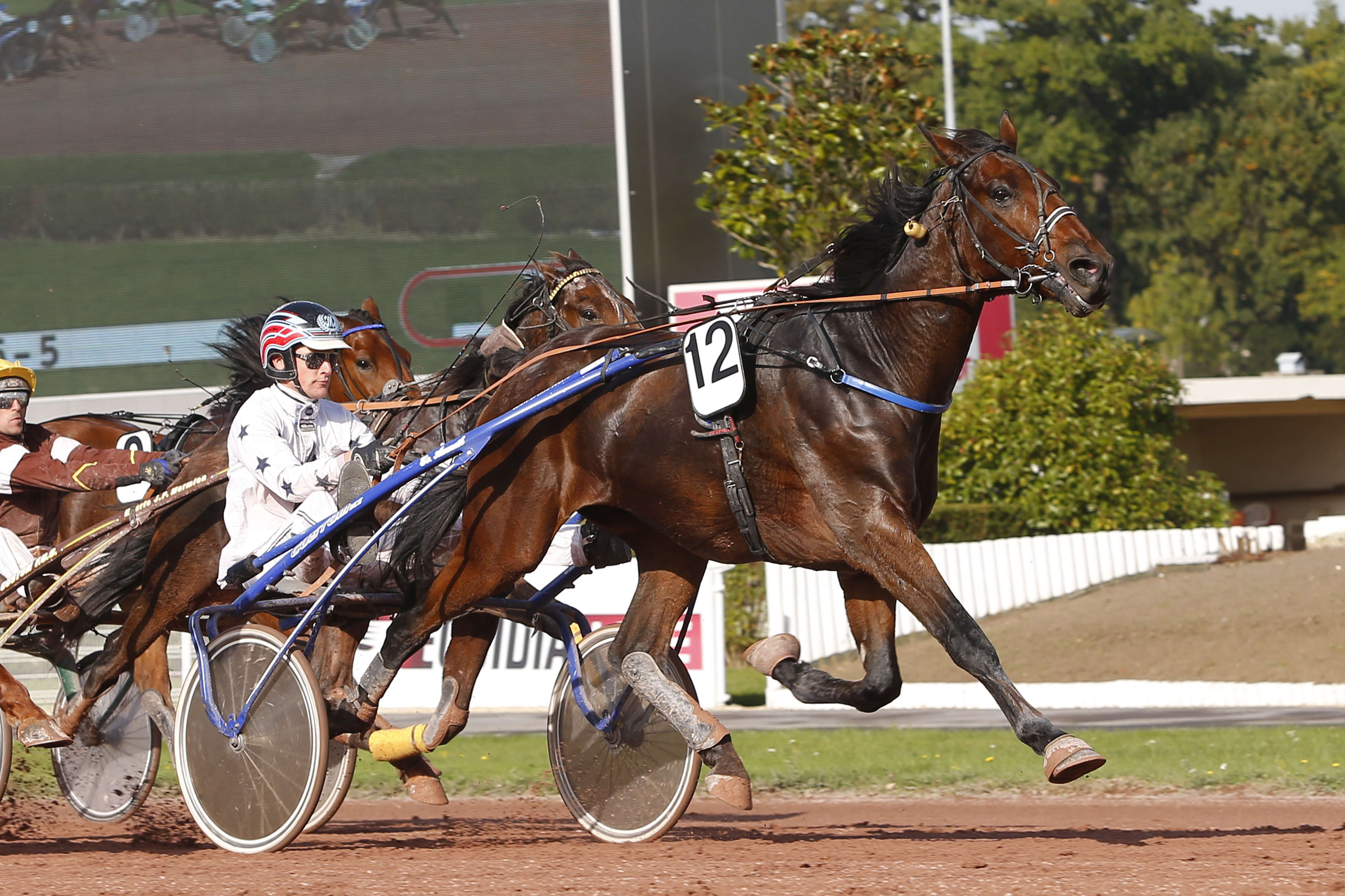 Prix Quick Williams, Boccadamo sur l'hippodrome d'Enghien Soisy