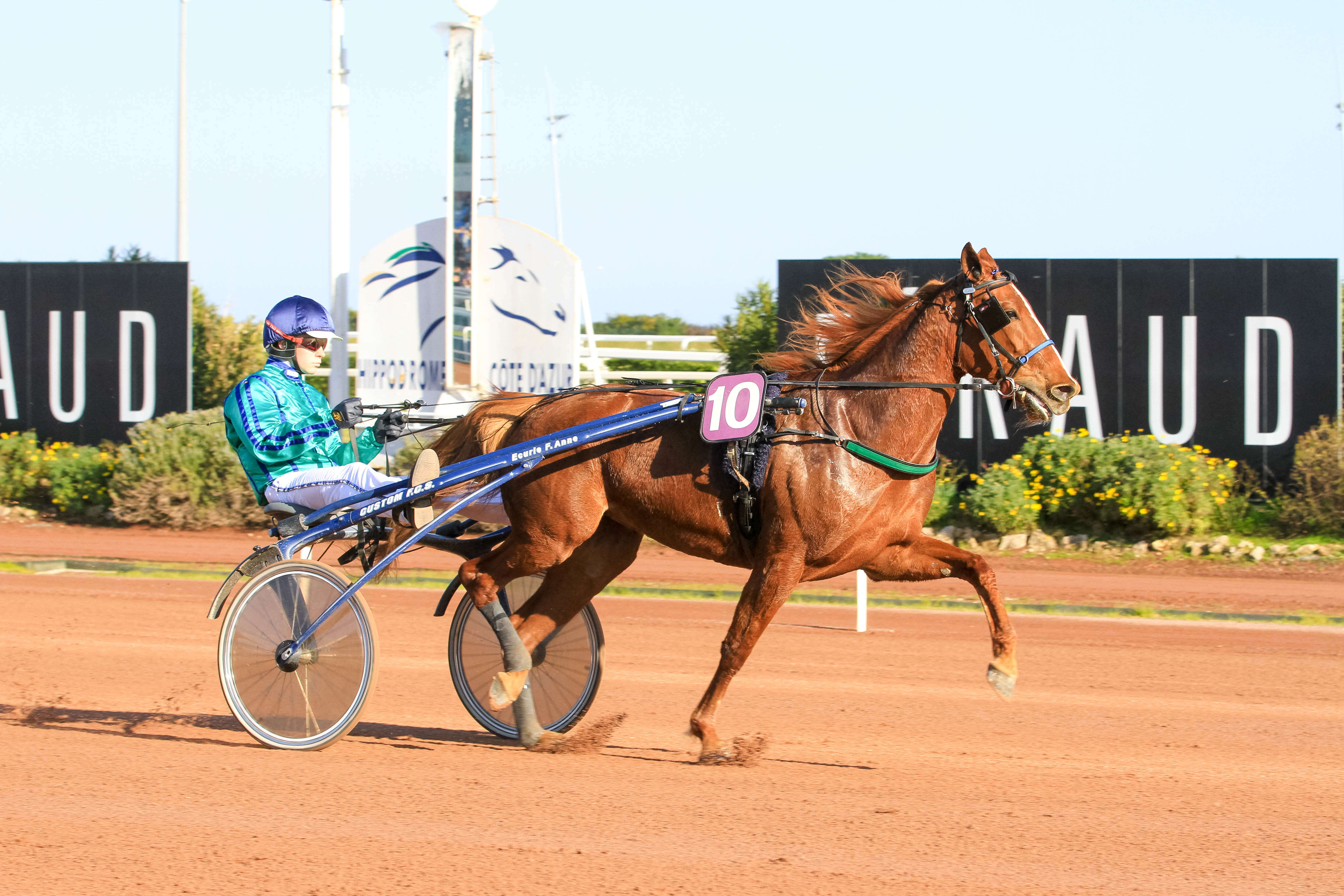 Grand Critérium de Vitesse de la Côte d'Azur, Vivid Wise As auf der Rennbahn von Cagnes sur Mer