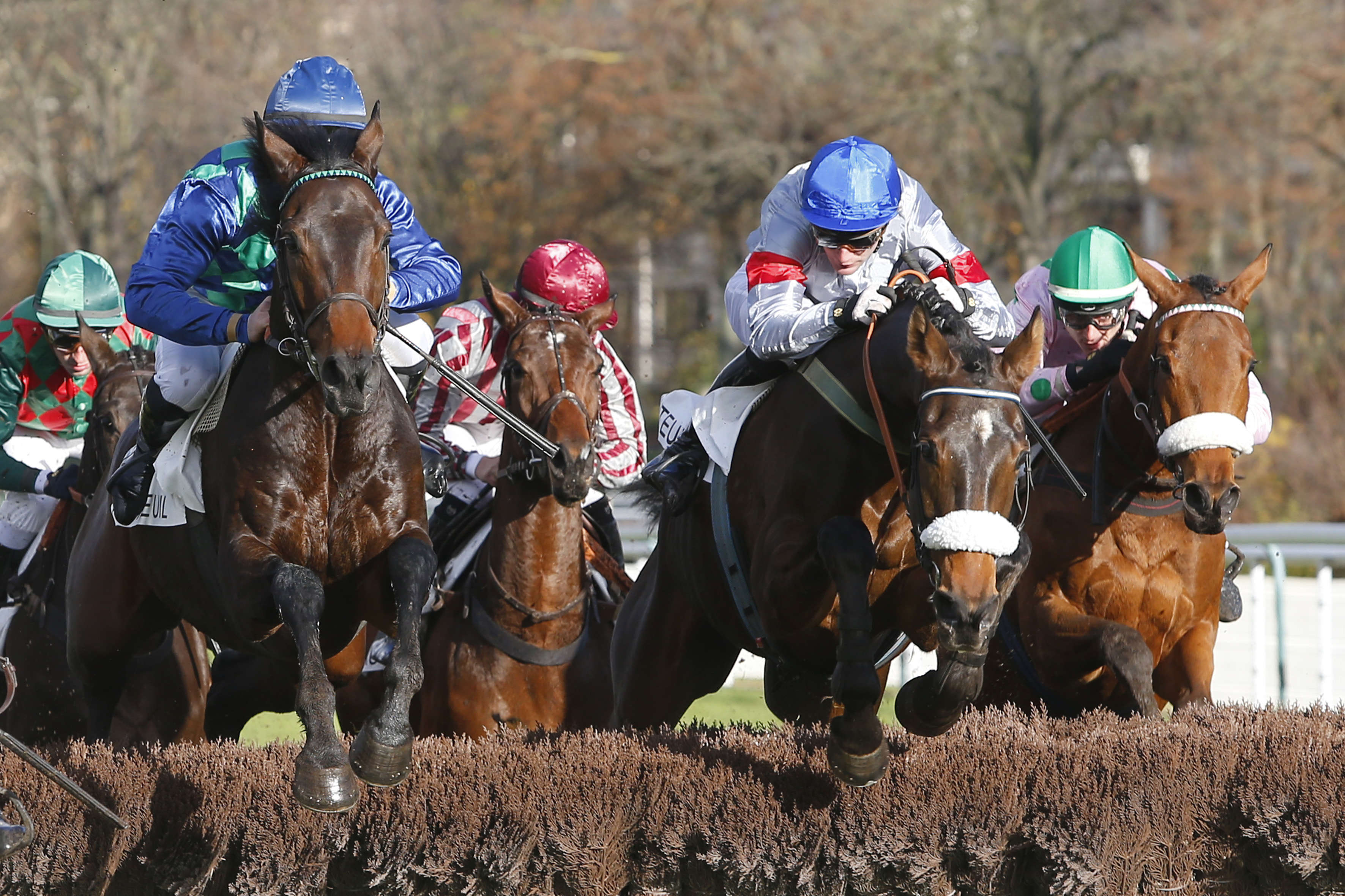 Prix Prédicateur, Lyon Clermont sur l'hippodrome d'Auteuil