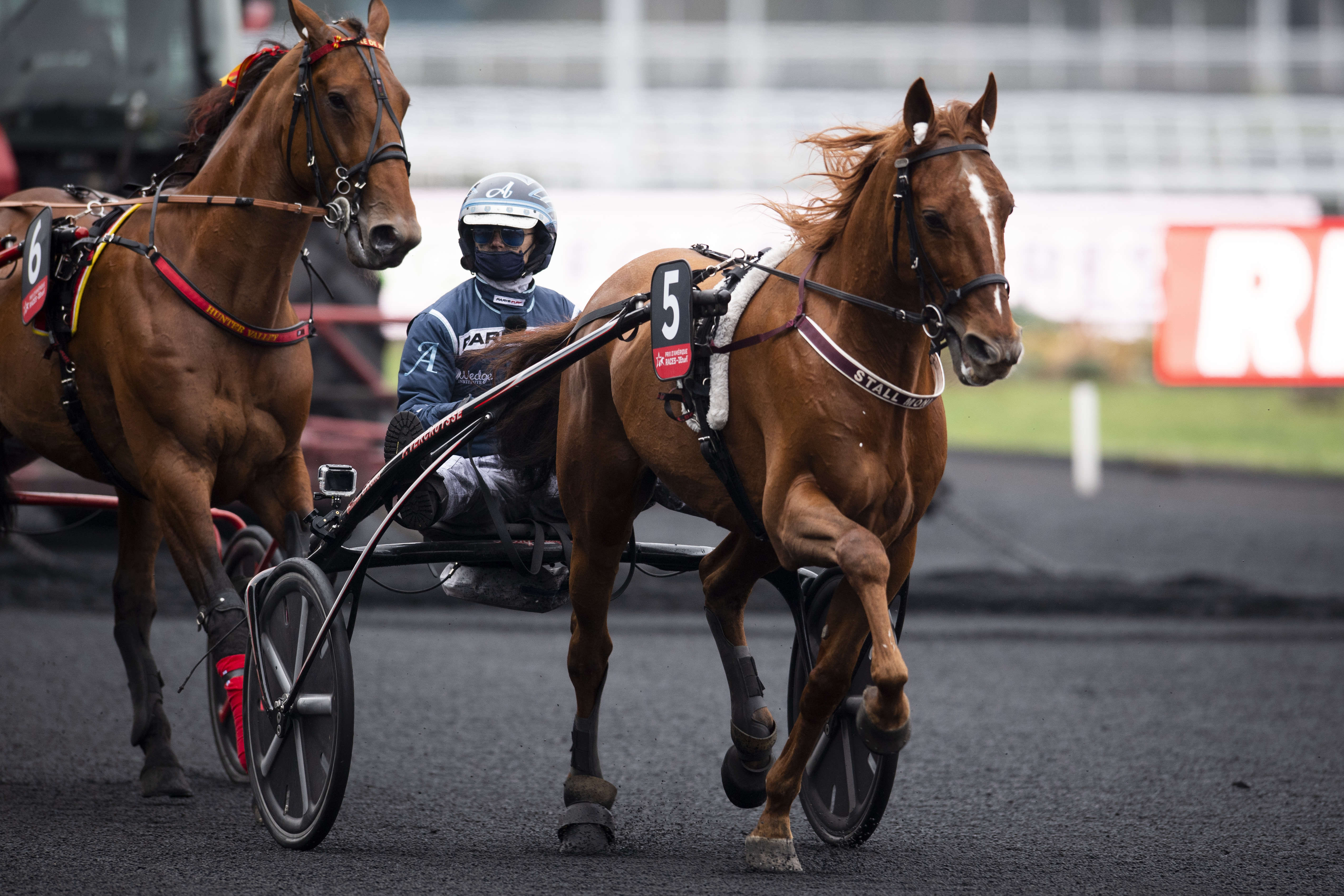 Prix d'Aubusson, Face Time sur l'hippodrome de Vincennes